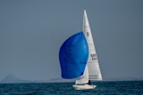 2021 wed dragon edinburgh cup ec21 9203w